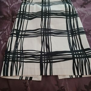 Express Skirt